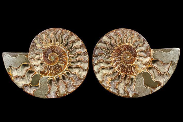 Cut/Polished Ammonite Pair - Agatized #79144